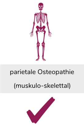 Perietale Osteopathie | Schmerzen im Bewegungsapparat 